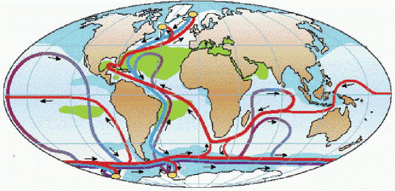 Carte de la circulation thermohaline Carte de la circulation thermohaline