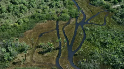Grâce au satellite européen SMOS, des scientifiques ont mis en évidence un phénomène de stockage et conservation d’eau dans les forêts tropicales durant la saison sèche.  Grâce au satellite européen SMOS, des scientifiques ont mis en évidence un phénomène de stockage et conservation d’eau dans les forêts tropicales durant la saison sèche.