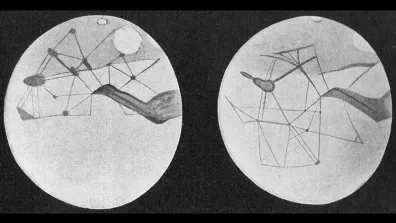 Carte des canaux martiens réalisée par Percival Lowell, auteur d’un livre sur cette théorie (1906). Carte des canaux martiens réalisée par Percival Lowell, auteur d’un livre sur cette théorie (1906).