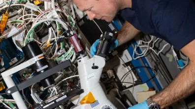 L'astronaute de l'ESA Andreas Mogensen est en train d'observer au microscope, à bord de l'ISS, les organoïdes cérébraux de l'expérience Cerebral Ageing lors d'une session de changement de milieu de culture L'astronaute de l'ESA Andreas Mogensen est en train d'observer au microscope, à bord de l'ISS, les organoïdes cérébraux de l'expérience Cerebral Ageing lors d'une session de changement de milieu de culture