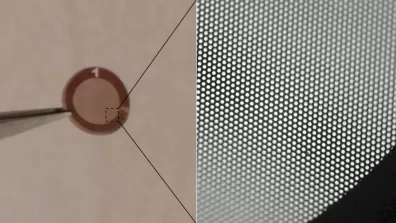 Échantillon de graphène de 3 mm de diamètre pour test Échantillon de graphène de 3 mm de diamètre pour test
