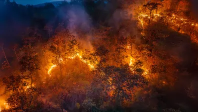 Incendie de forêt Incendie de forêt