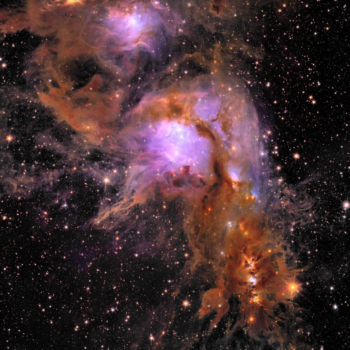 Pouponnière d'étoiles Messier 78 vue par Euclid, 2024 Pouponnière d'étoiles Messier 78 vue par Euclid, 2024