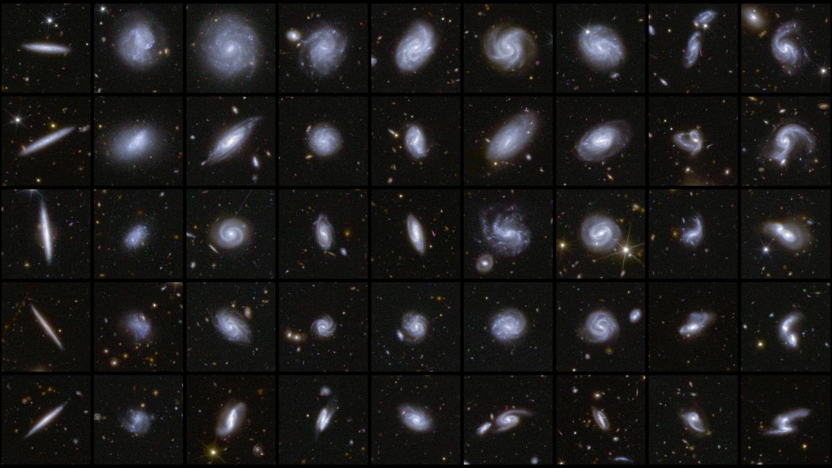 Galaxies de formes différentes capturées par Euclid. Galaxies de formes différentes capturées par Euclid.