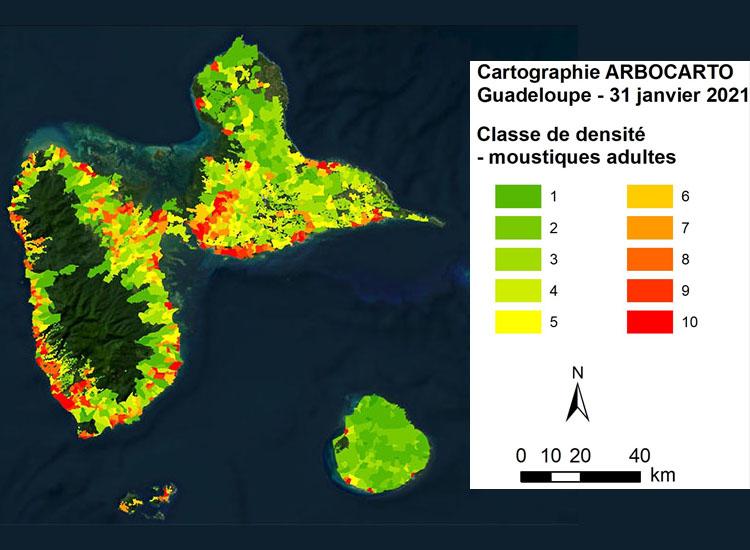 Cartographie de la densité des moustiques en Guadeloupe  Cartographie de la densité des moustiques en Guadeloupe