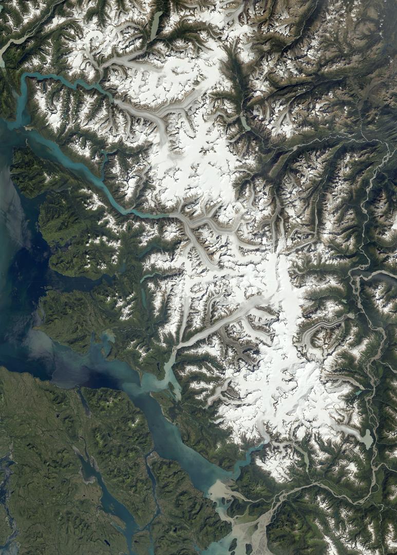 Image mosaïque en couleurs naturelles Image mosaïque en couleurs naturelles