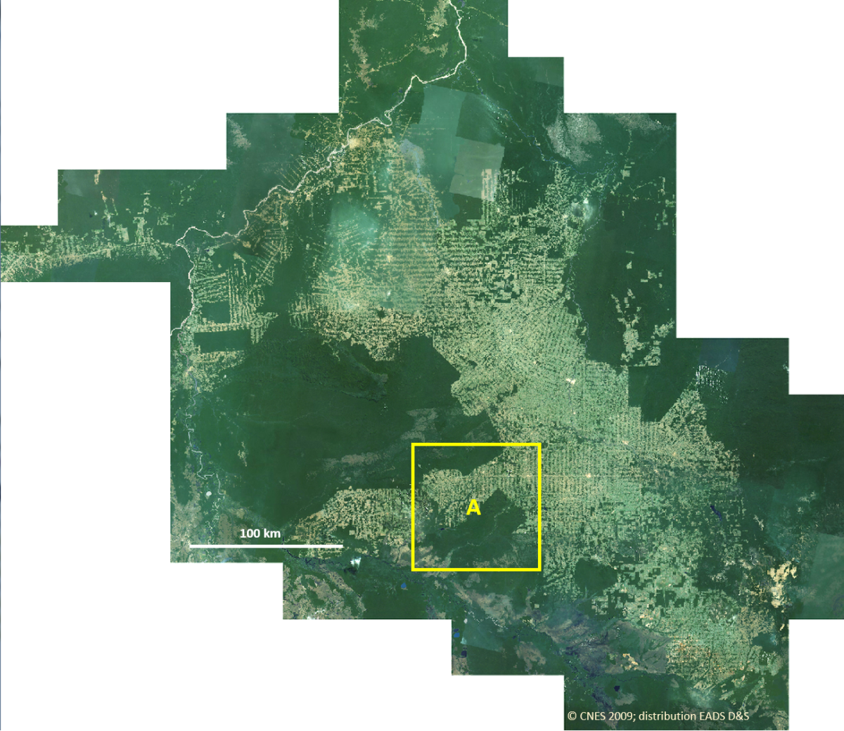 Image satellite de l'Etat du Rondônia Image satellite de l'Etat du Rondônia