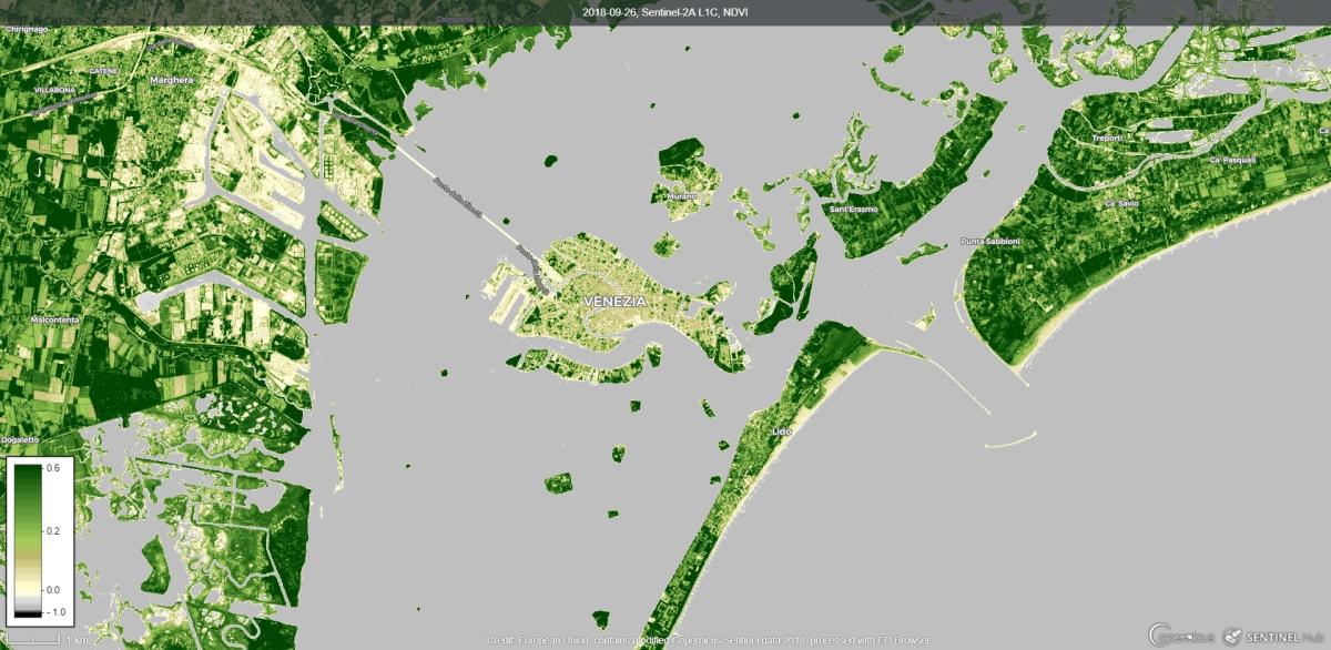 Image satellite du Traitement NDVI  Image satellite du Traitement NDVI