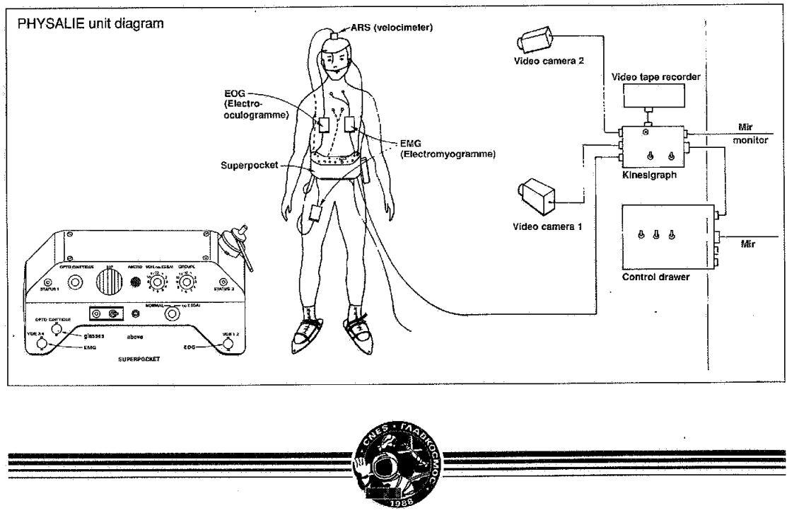 Schéma des débuts du kinésigraphe  Schéma des débuts du kinésigraphe