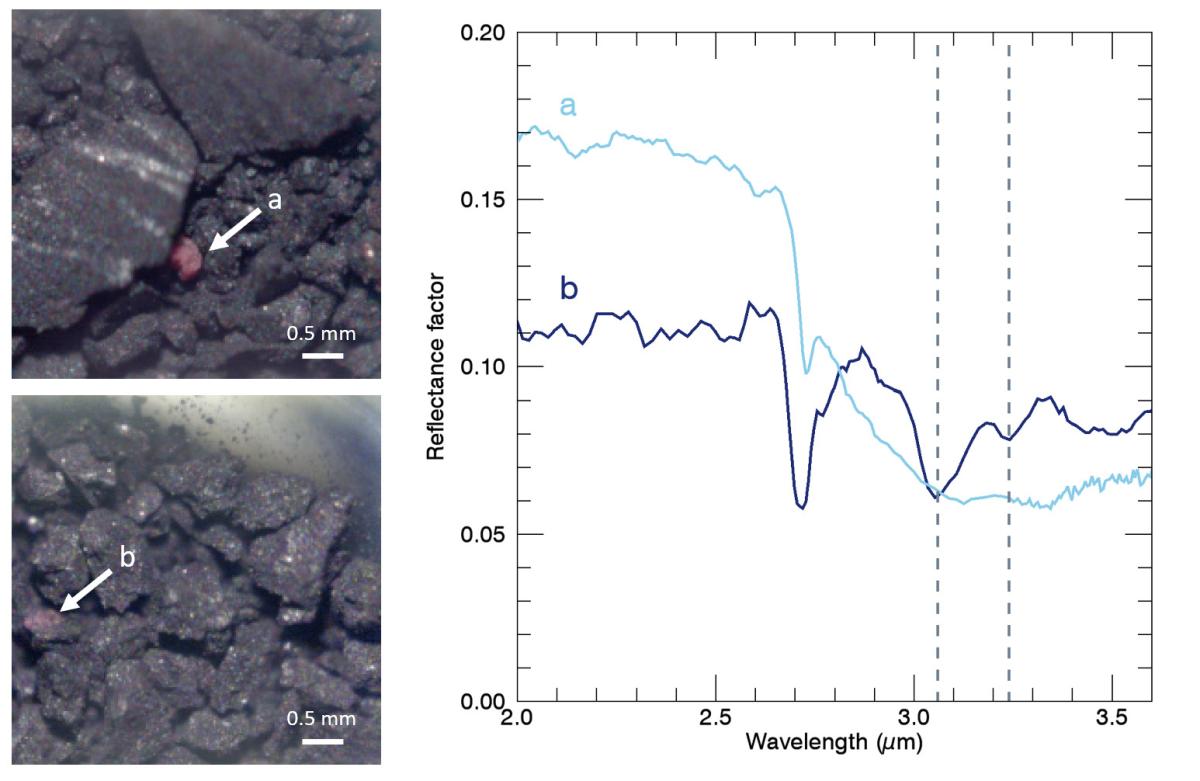 Résultats des analyses d'échantillons Résultats des analyses d'échantillons
